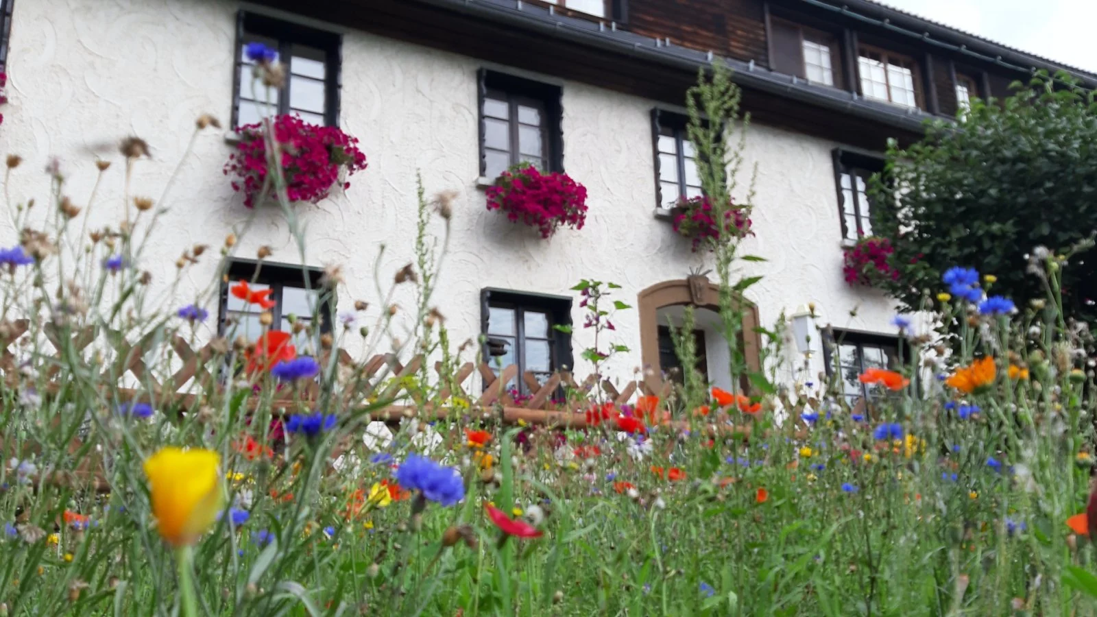 Hotel Das Landhaus – Hotelbild 2