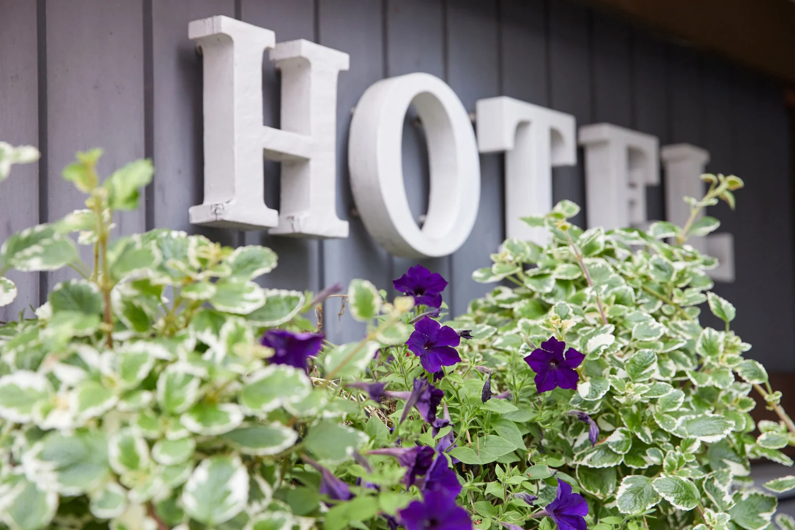 Hotel Rotes Haus – Hotelbild 3