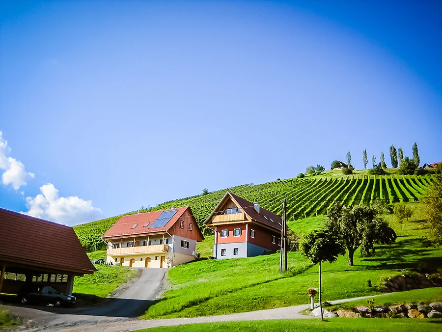 Weingut Peter Skoff – Domäne Kranachberg – Hotelbild 3