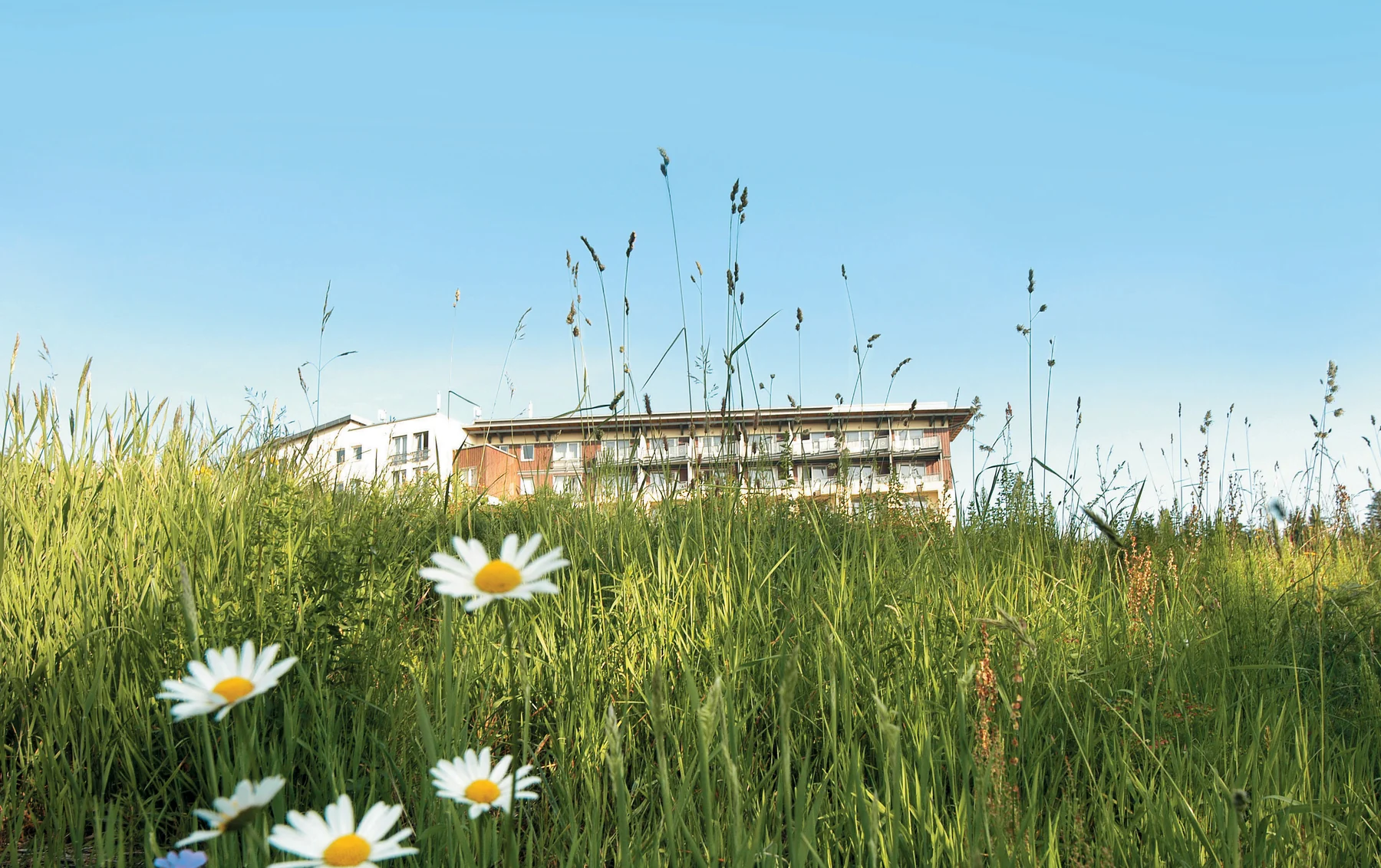 Wellness- & Nationalpark-Hotel Schliffkopf – Hotelbild 2